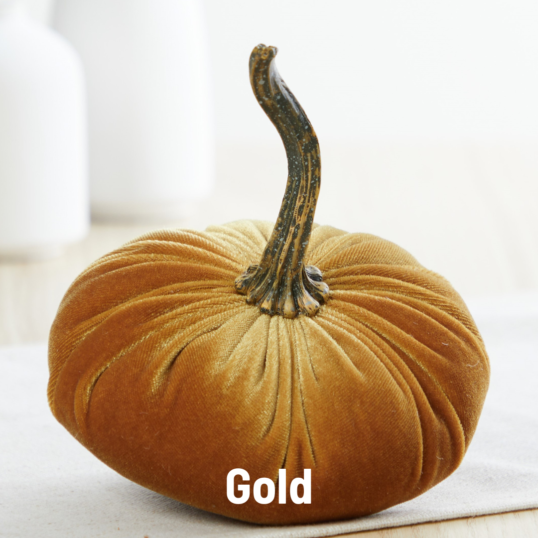 Pumpkin Small Velvet Fall Decor Gift for New Apartment Best