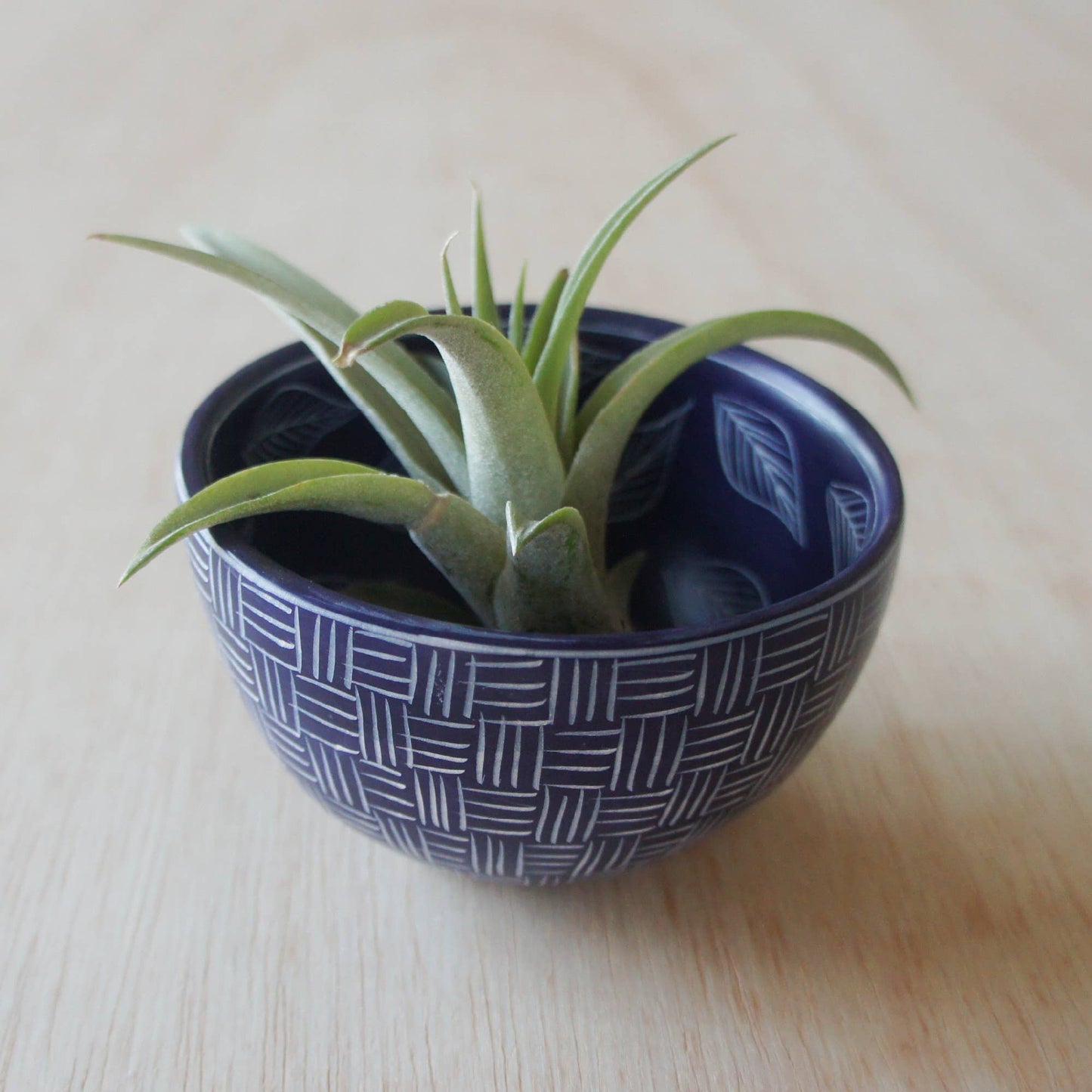 Two Pattern Bowl