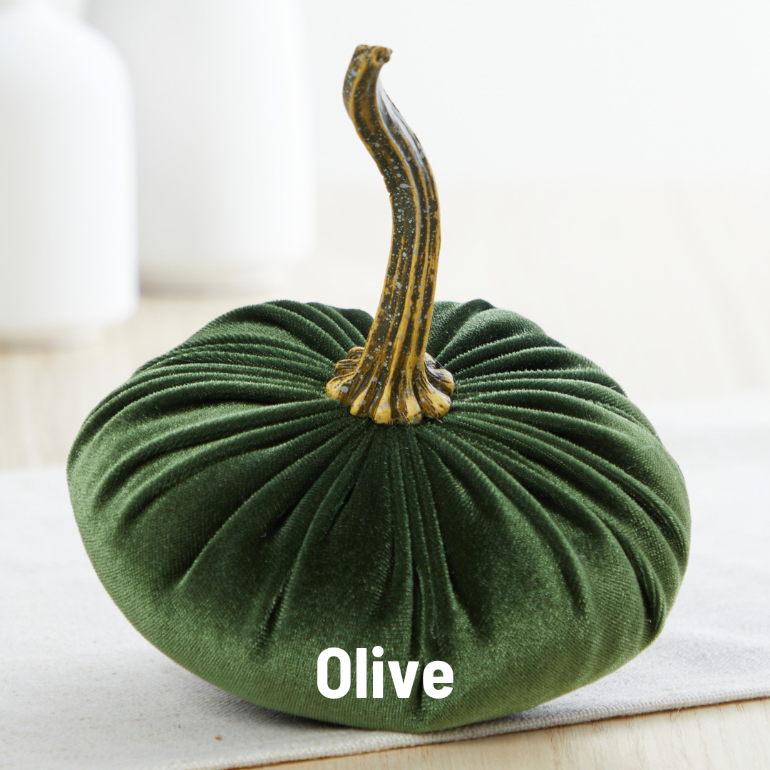 Pumpkin Small Velvet Fall Decor Gift for New Apartment Best