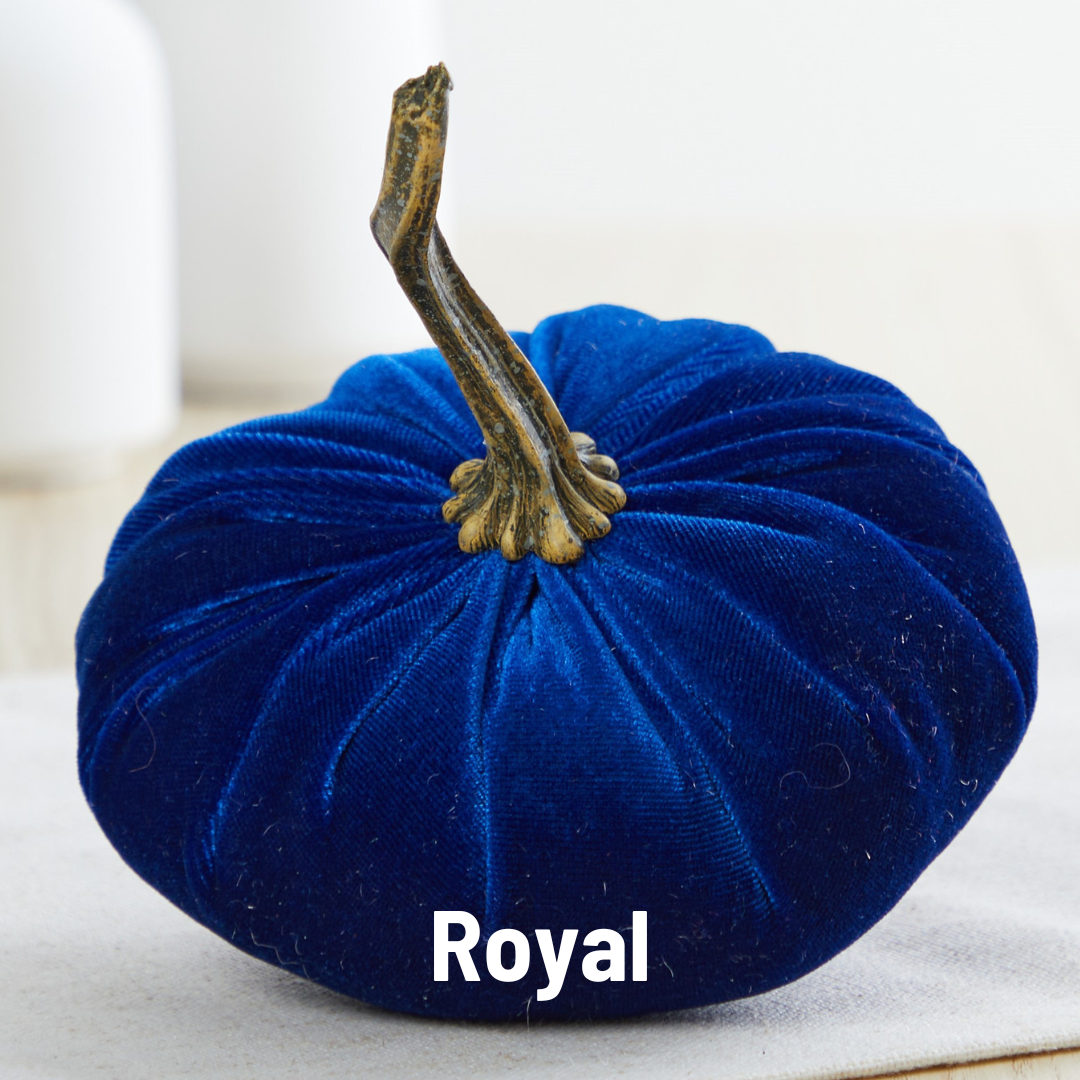 Pumpkin Small Velvet Fall Decor Gift for New Apartment Best