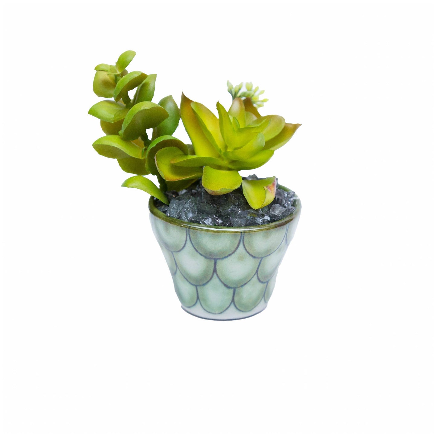 Ceramic Succulent Planter