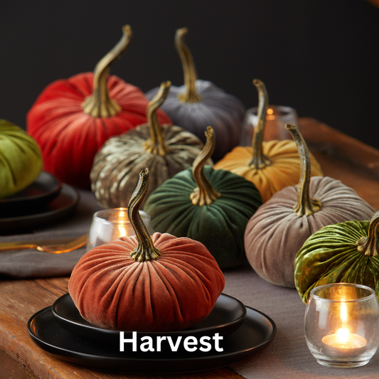 Pumpkin Small Velvet Fall Decor Gift for New Apartment Best