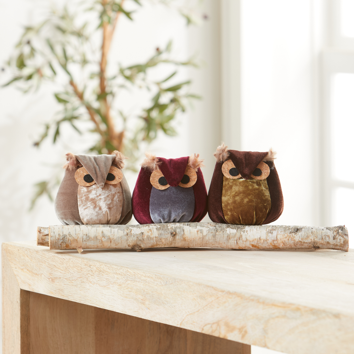 Whimsical velvet owls,  charming owl enthusiastic, unique