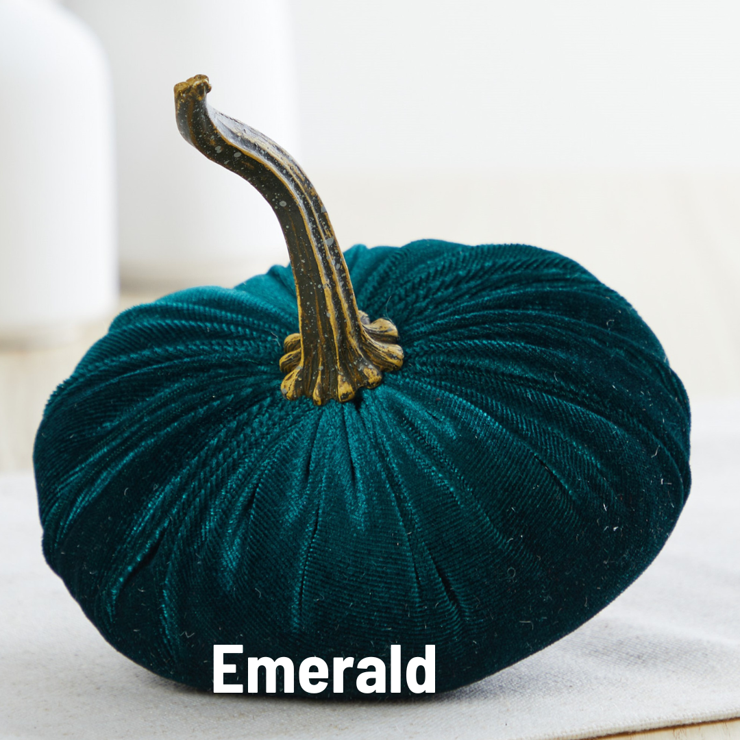 Pumpkin Small Velvet Fall Decor Gift for New Apartment Best