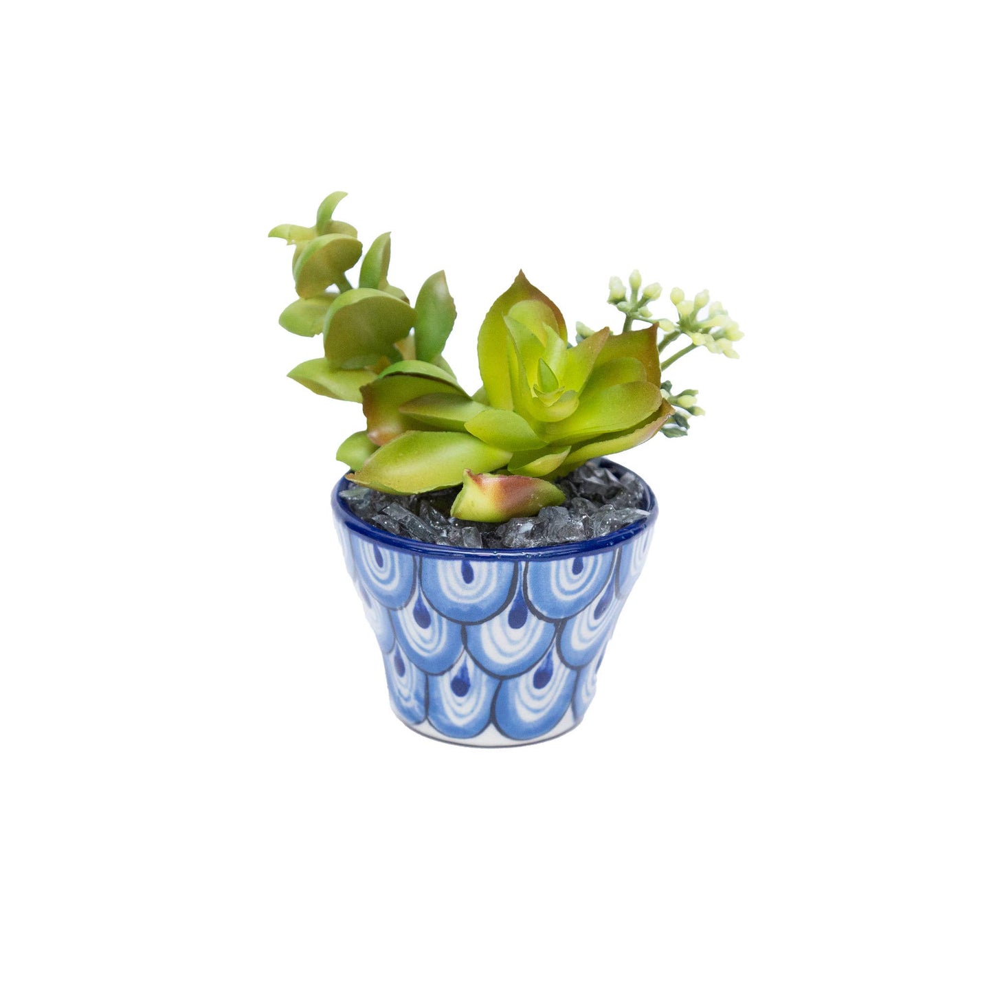 Ceramic Succulent Planter