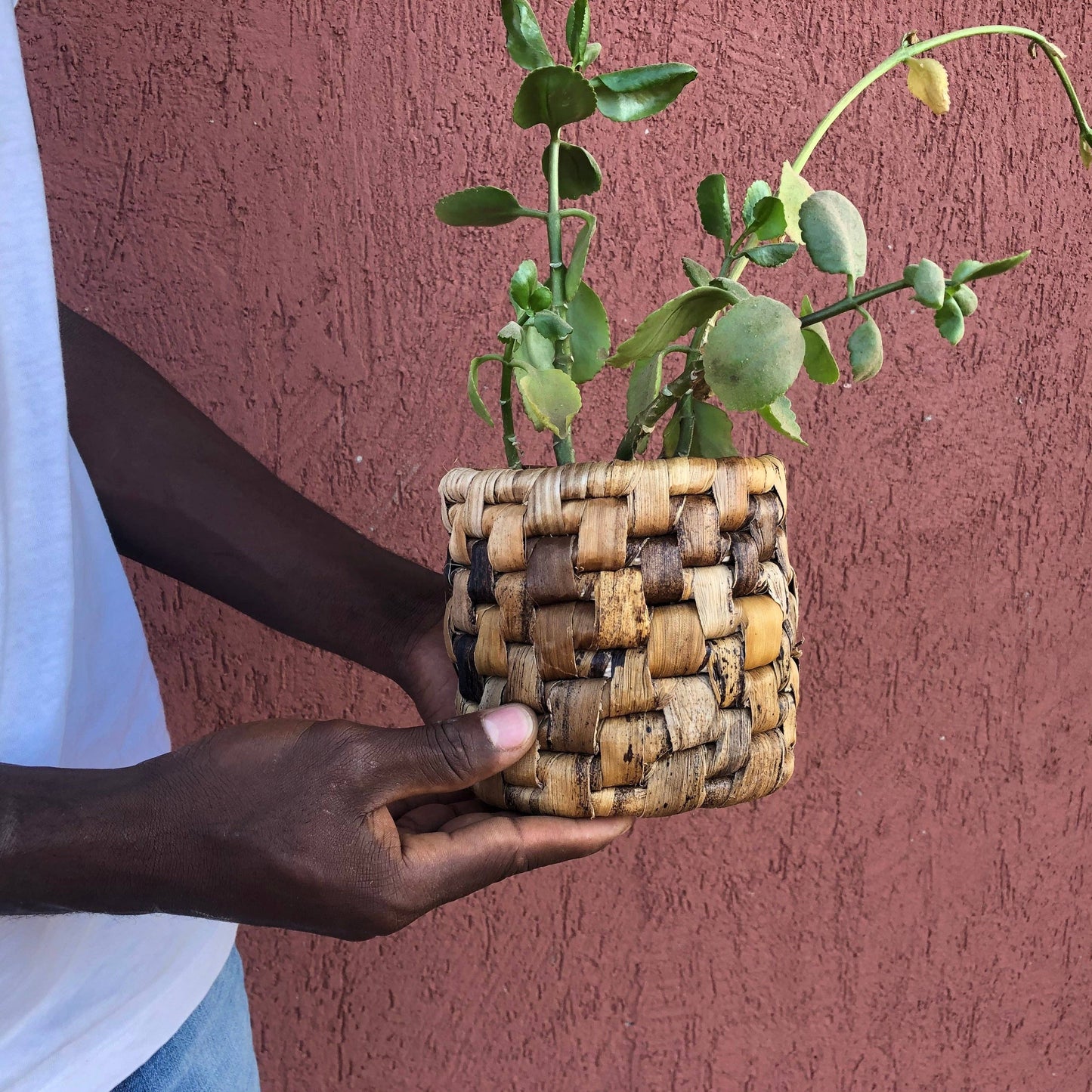 Cylindrical Banana Leaf Container