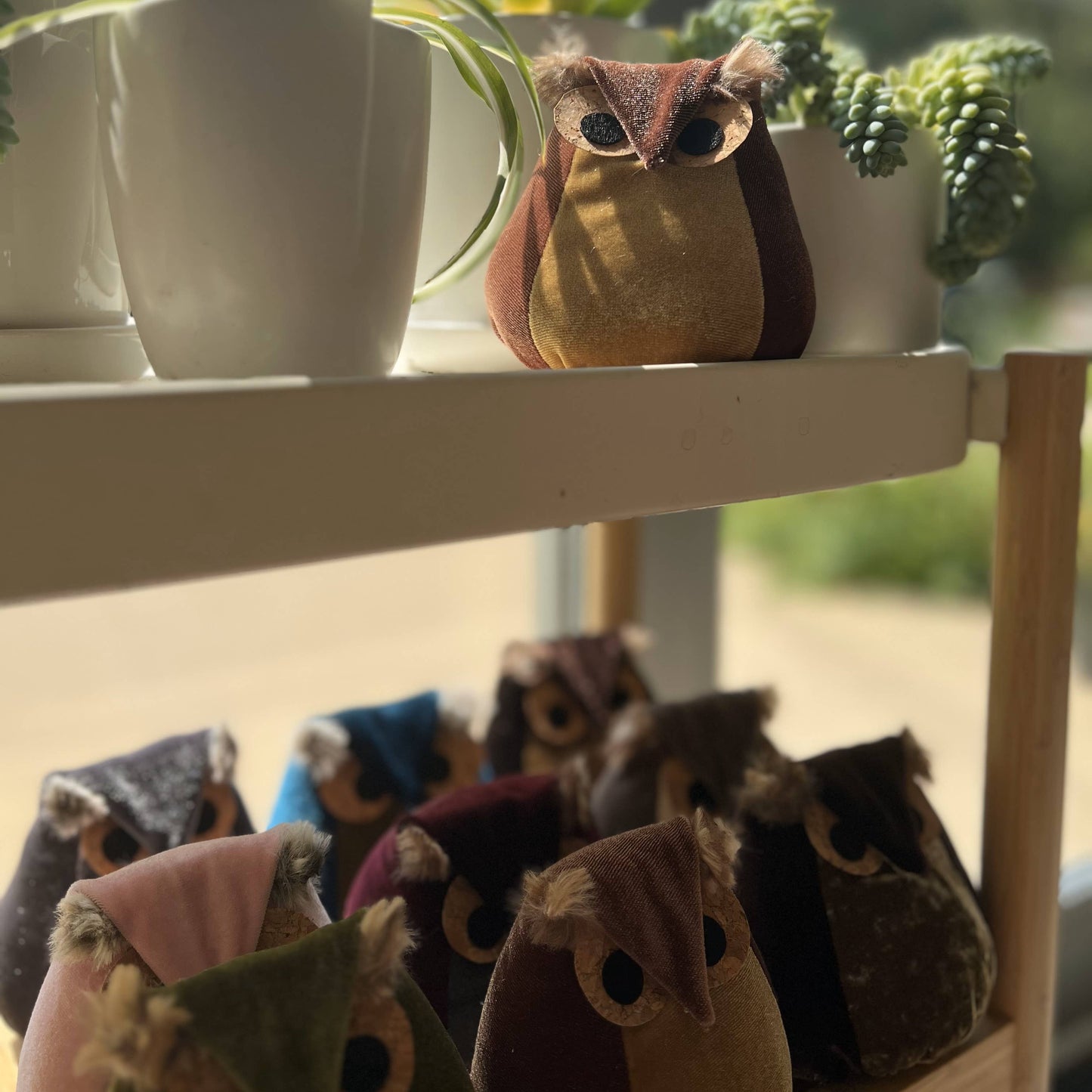 Whimsical velvet owls,  charming owl enthusiastic, unique