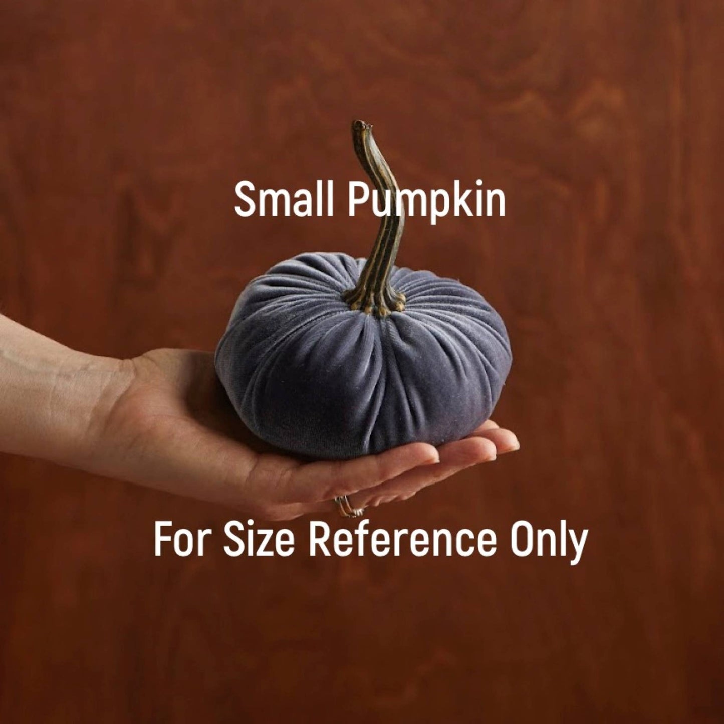 Pumpkin Small Velvet Fall Decor Gift for New Apartment Best