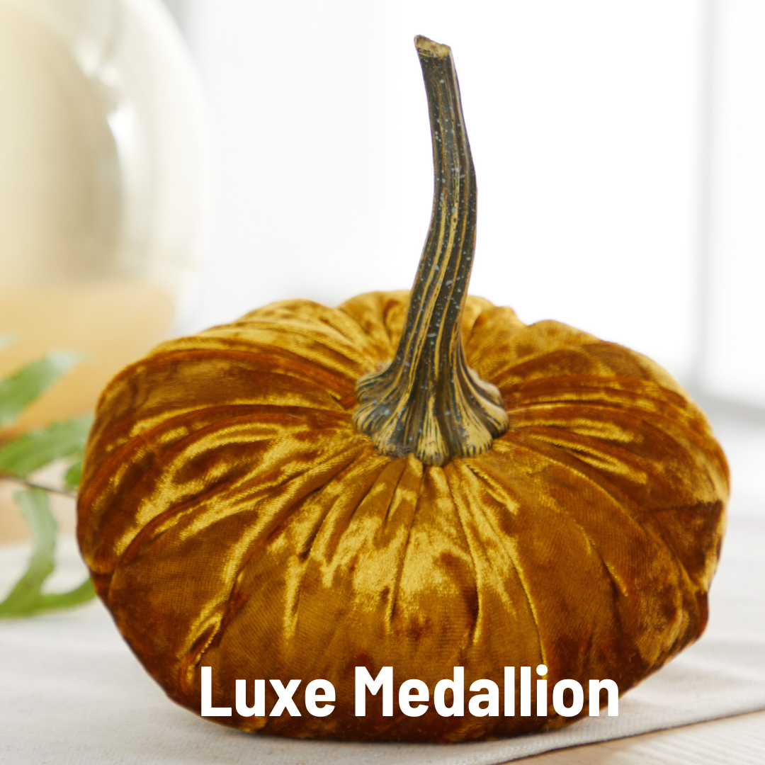 Pumpkin Small Velvet Fall Decor Gift for New Apartment Best