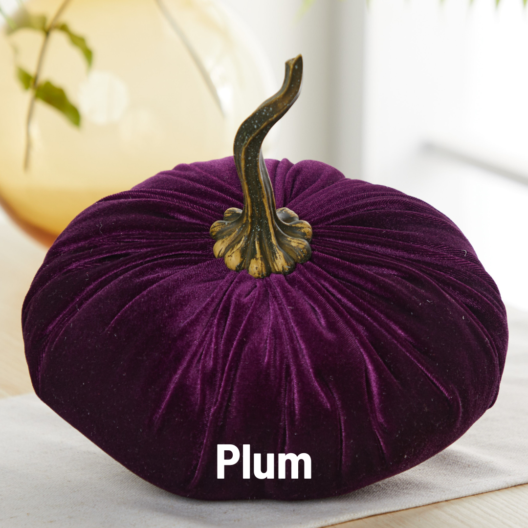 Pumpkin Extra Large Velvet,  Fall Accent Decor, Centerpiece