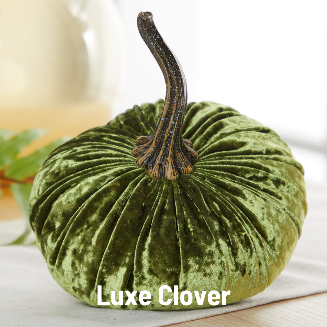 Pumpkin Small Velvet Fall Decor Gift for New Apartment Best