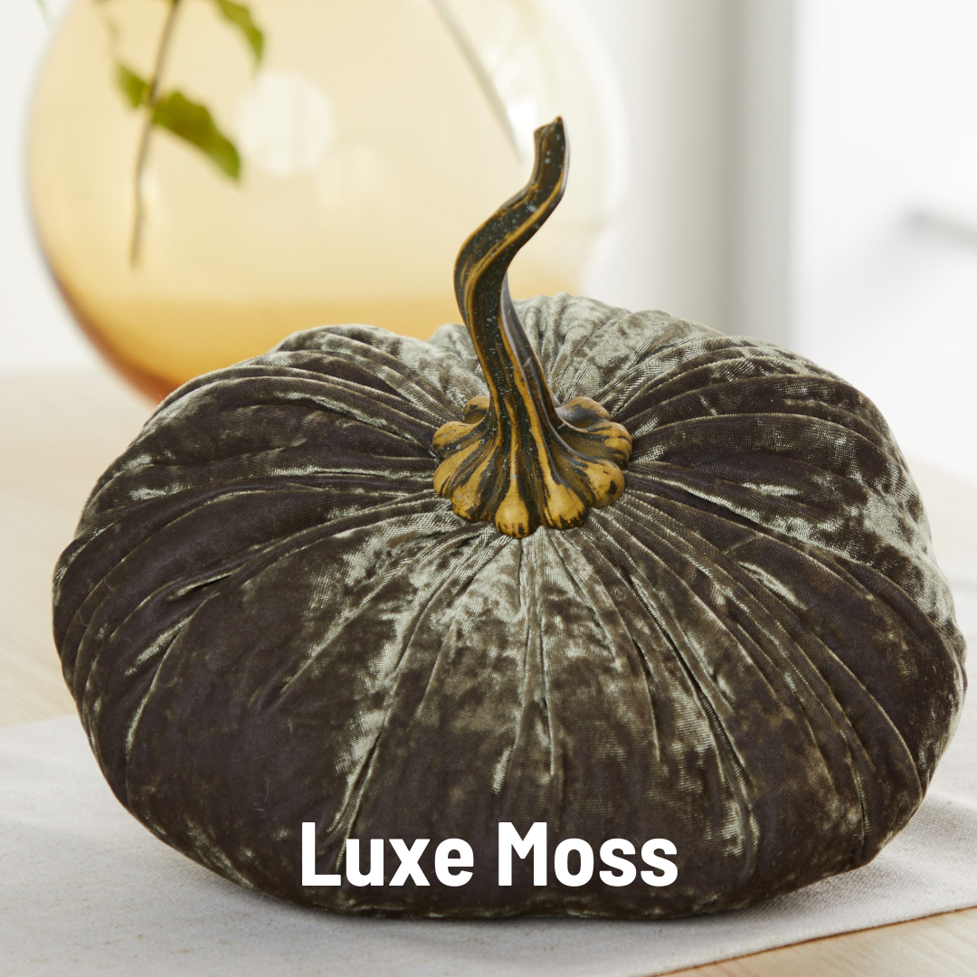 Pumpkin Extra Large Velvet,  Fall Accent Decor, Centerpiece